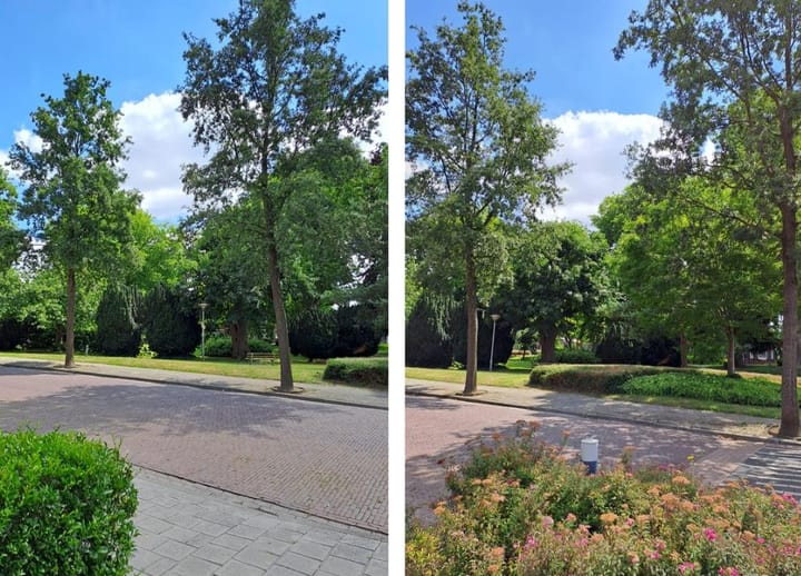 Foto 27 van Westdam 12