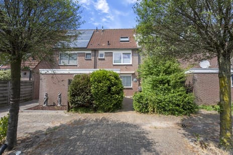 undefined main image