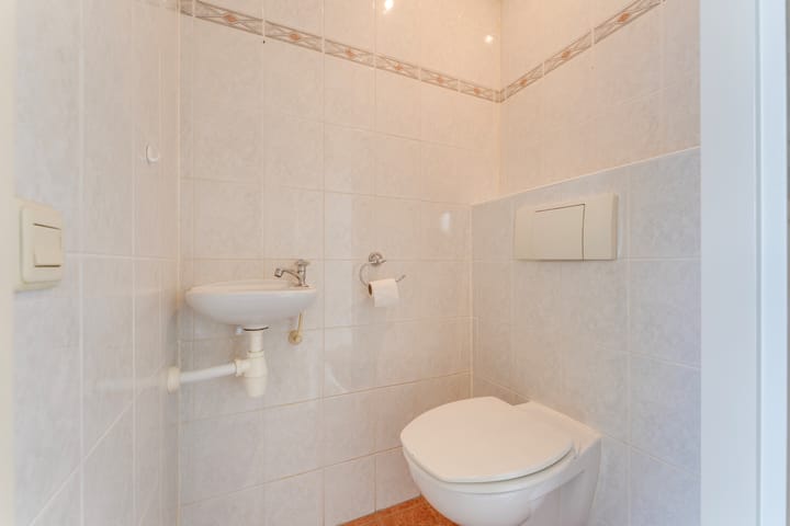 Foto 13 van Ganzetrek 13