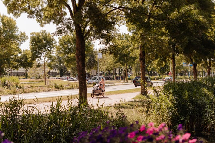 Foto 27 van Anna Horstinkstraat 106