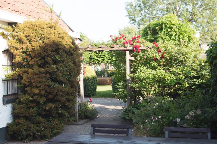 Foto 48 van Eewal 37