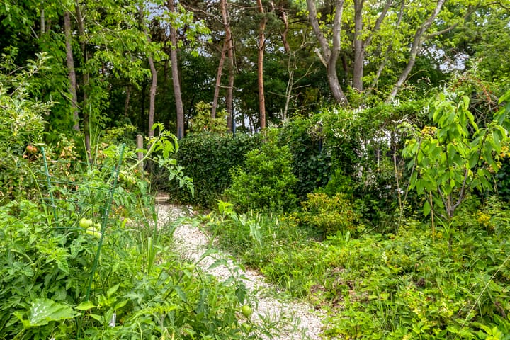 Foto 14 van Willibrordusweg 195