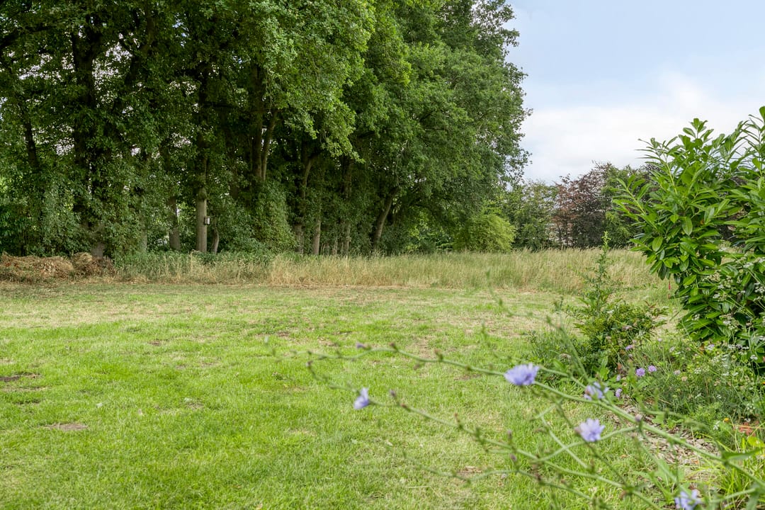 Foto 17 van Willibrordusweg 195