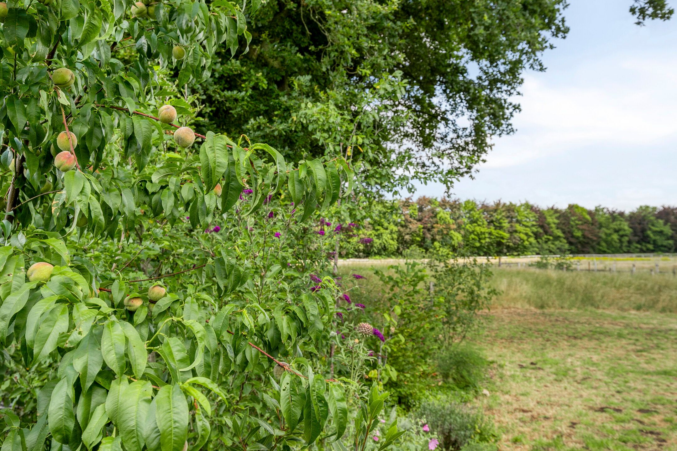 Foto 24 van Willibrordusweg 195