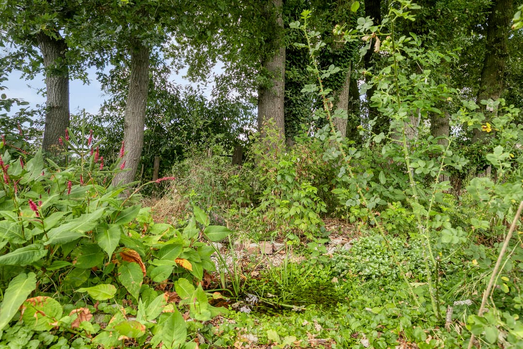 Foto 22 van Willibrordusweg 195