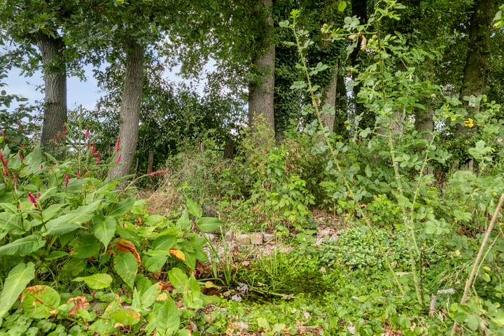 Foto 22 van Willibrordusweg 195