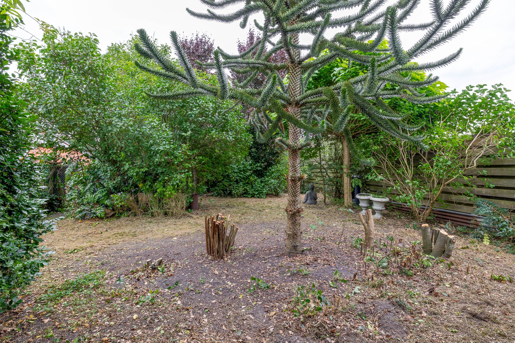 Foto 39 van H.J. Kniggestraat 130