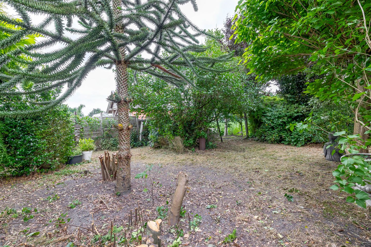 Foto 40 van H.J. Kniggestraat 130