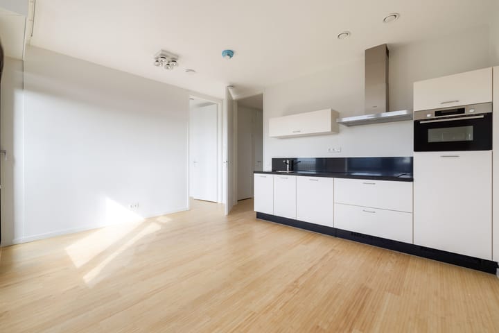 Foto 3 van Mies van der Rohestraat 295