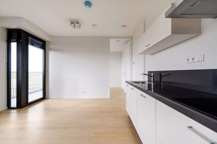 Foto 11 van Mies van der Rohestraat 295