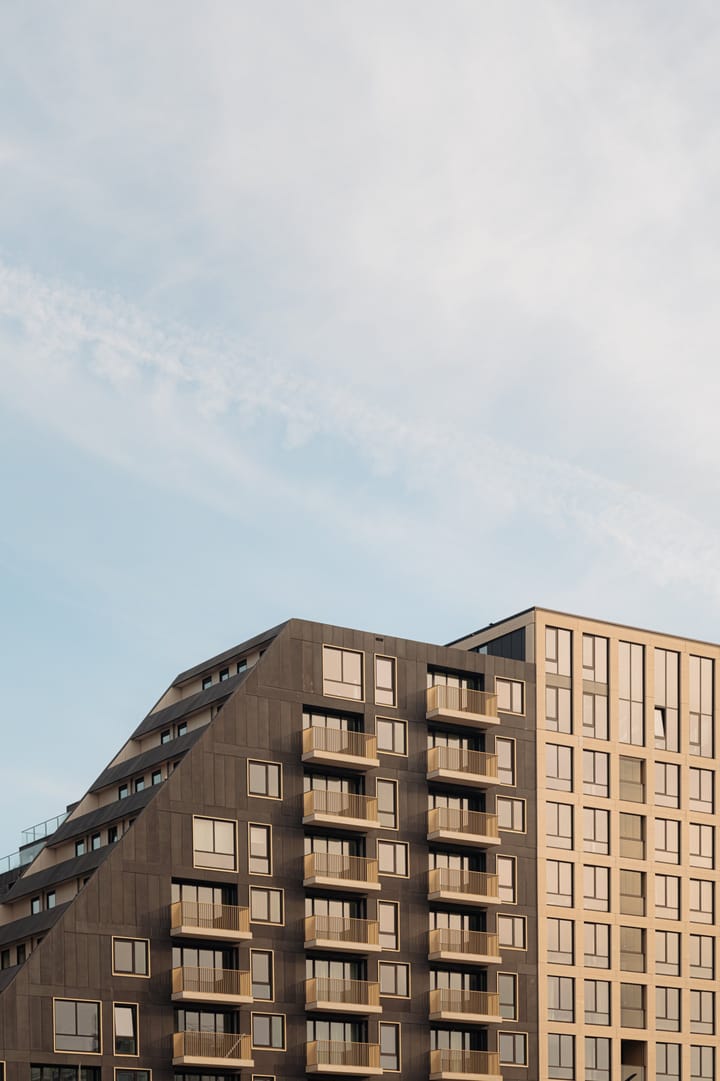 Foto 21 van Mies van der Rohestraat 295