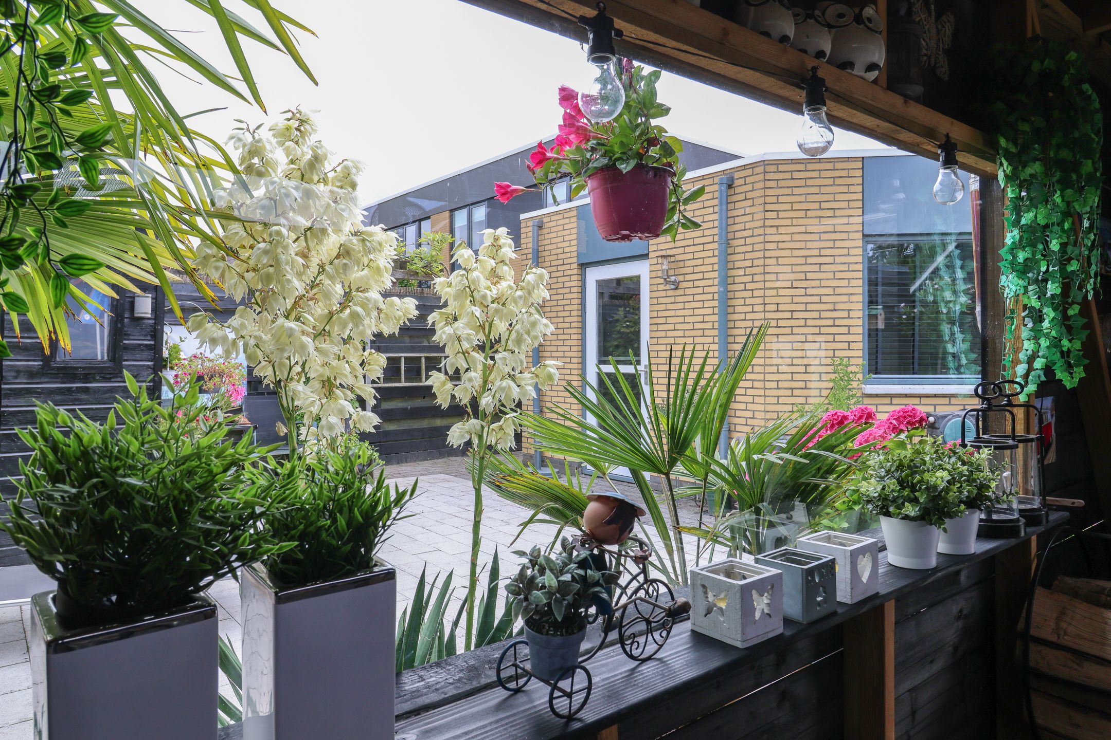 Foto 51 van Schepsnavel 16