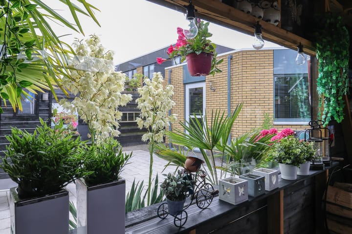 Foto 51 van Schepsnavel 16