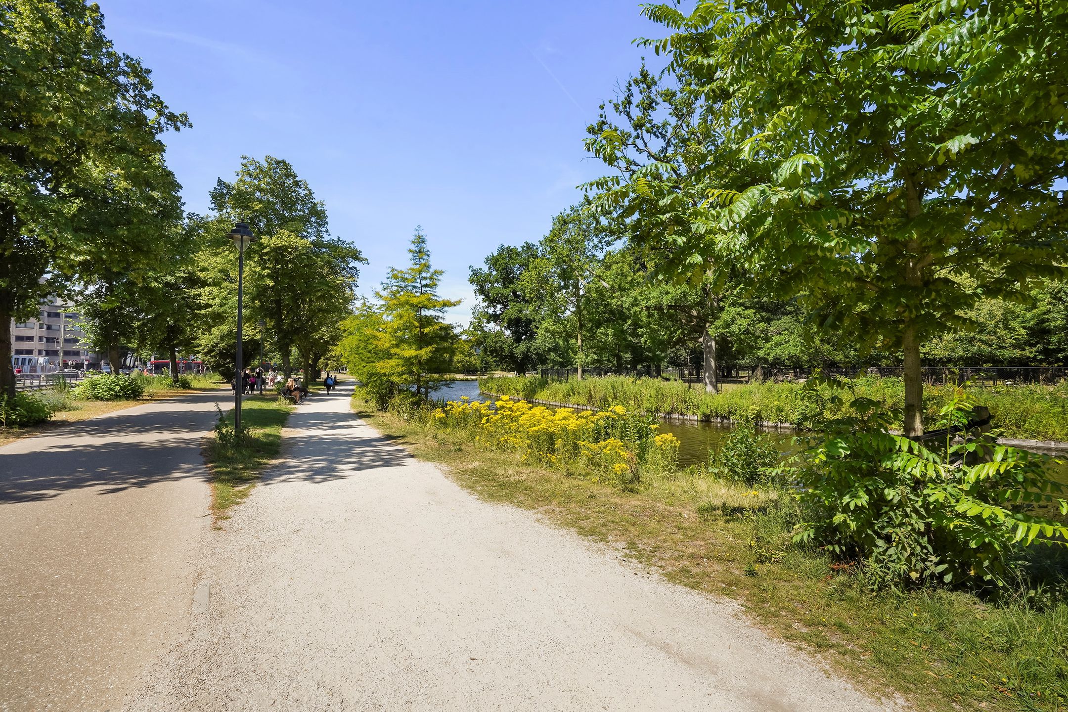 Foto 36 van Anna van Buerenplein 235