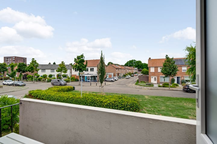 Photo 29 of Schuttebeemd 36