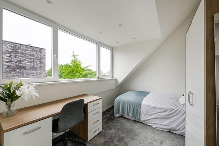 Foto 28 van Batterij 7