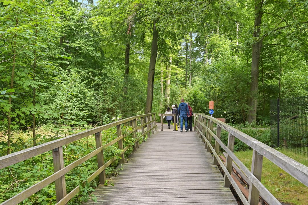 Foto 43 van Bezuidenhoutseweg 80-L