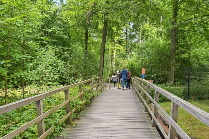 Foto 43 van Bezuidenhoutseweg 80-L