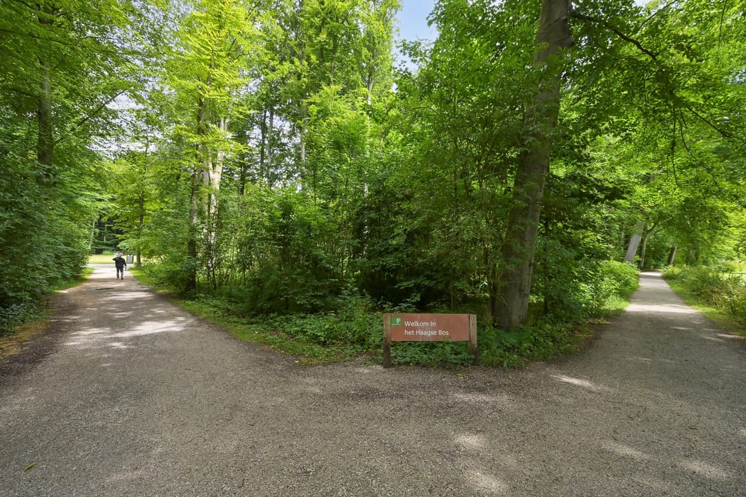 Foto 46 van Bezuidenhoutseweg 80-L