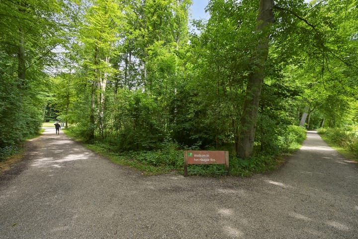 Foto 46 van Bezuidenhoutseweg 80-L