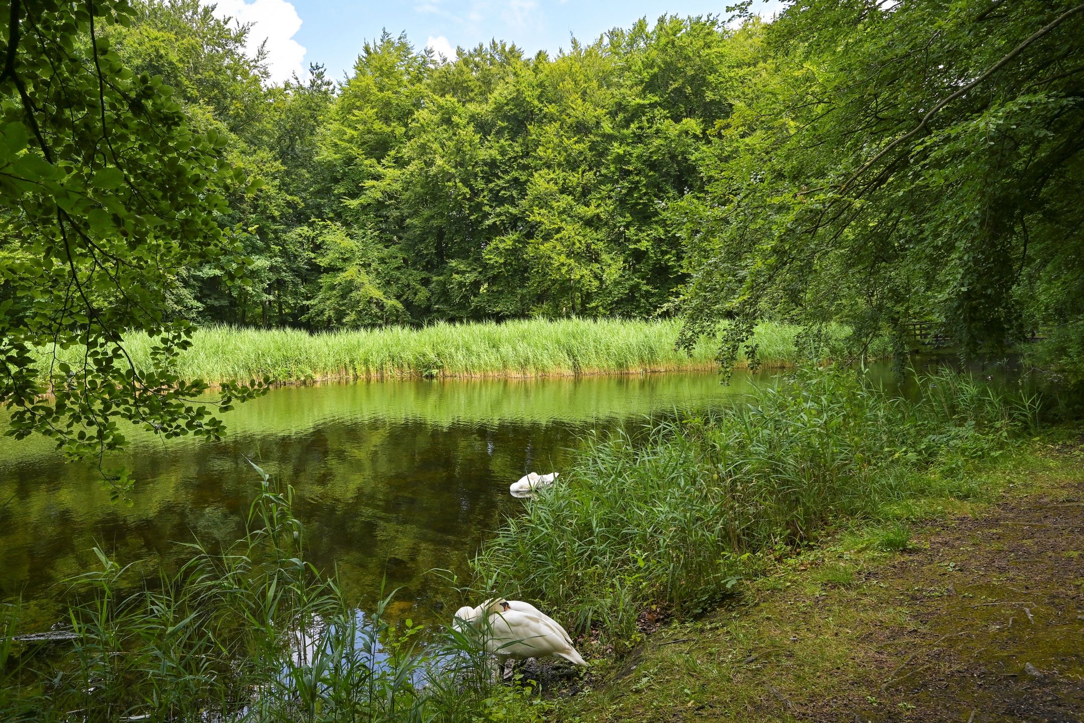 Foto 48 van Bezuidenhoutseweg 80-L