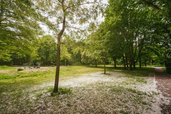 Foto 24 van Van Walbeeckstraat 79-2