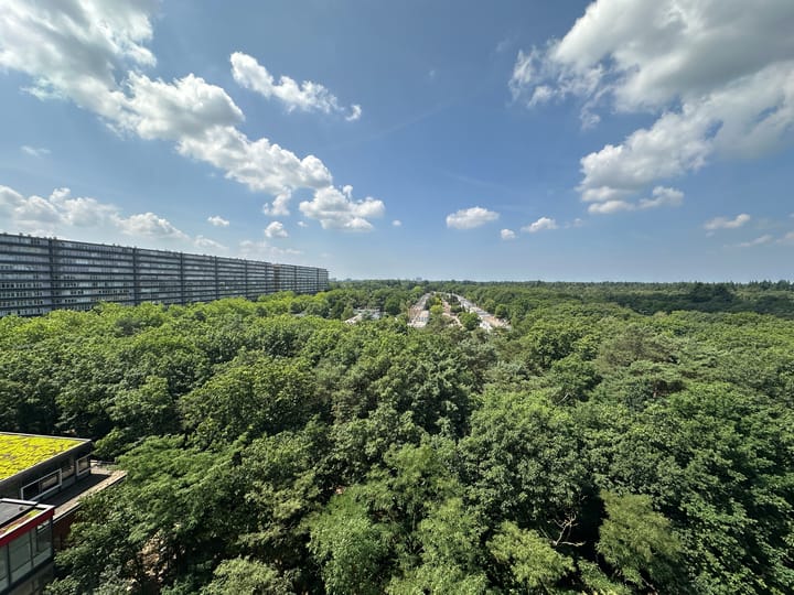 Foto 16 van Laan van Vollenhove 496-BIS