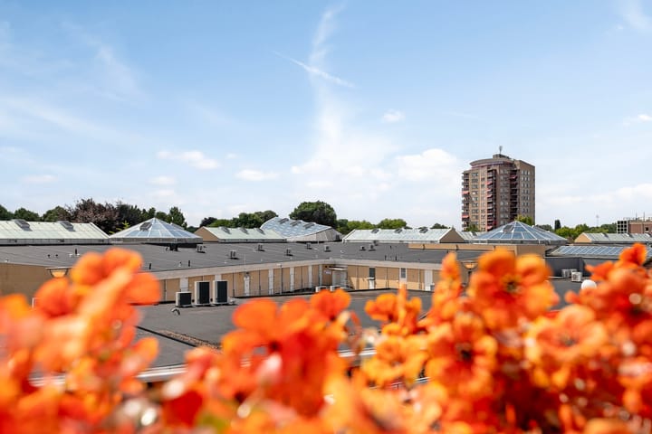 Foto 29 van Pleintjes 171