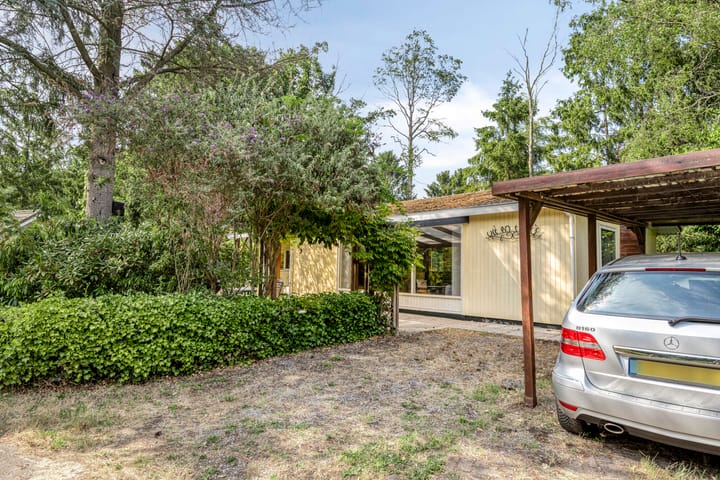 Foto 2 van Schaluinen 11-B337