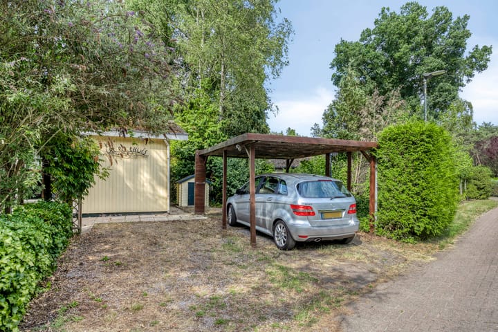 Foto 3 van Schaluinen 11-B337