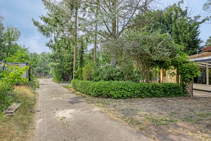 Foto 4 van Schaluinen 11-B337