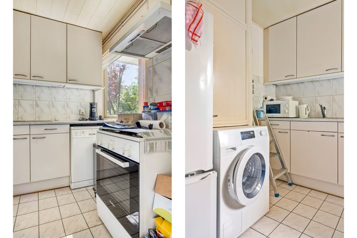 Foto 10 van Schaluinen 11-B337