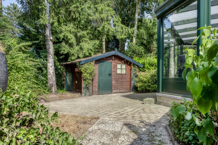 Foto 29 van Schaluinen 11-B337