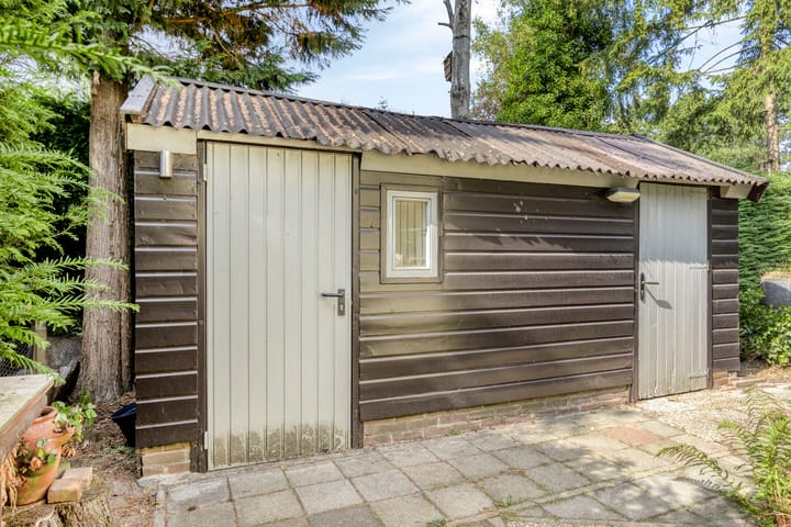 Foto 30 van Schaluinen 11-B337