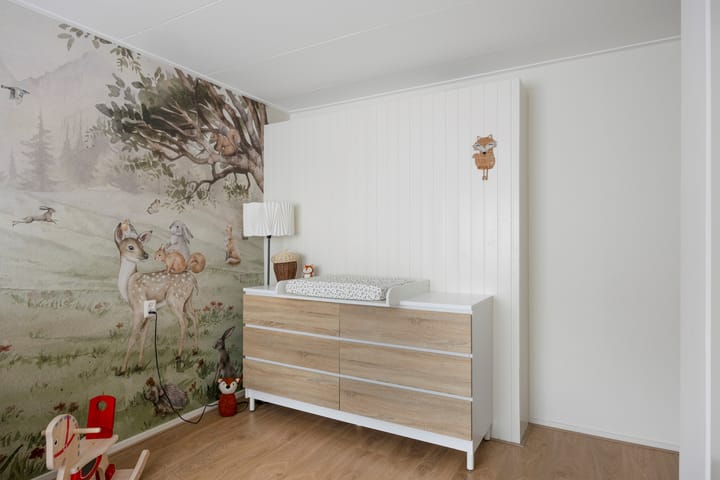 Foto 29 van Nicolaas Maesstraat 25