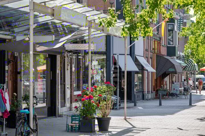 Foto 20 van Lambertusstraat 41-B