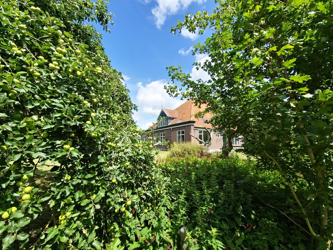 Photo 2 of Jisperweg 137