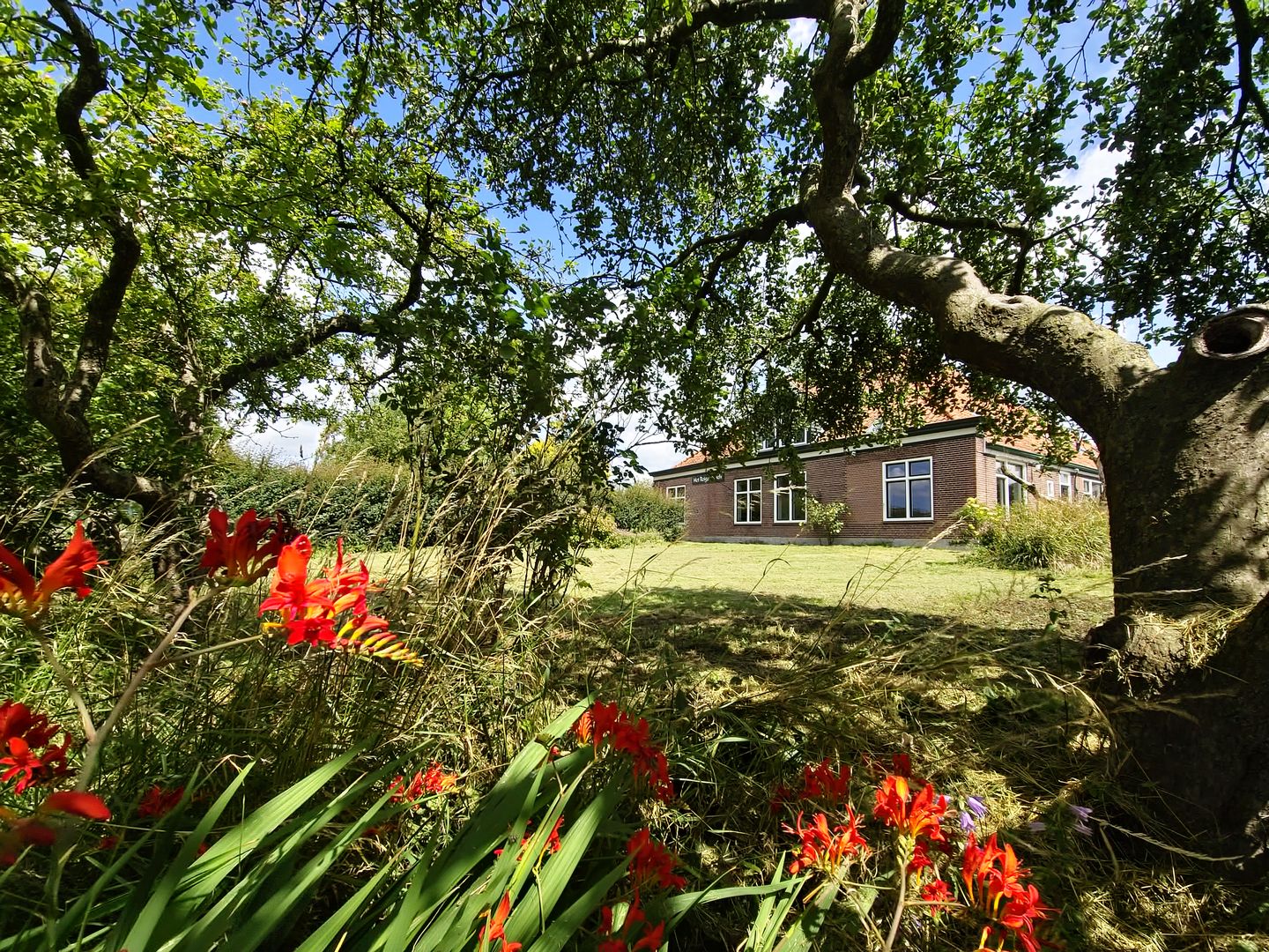 Photo 4 of Jisperweg 137