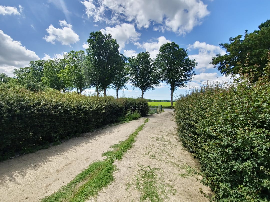 Photo 7 of Jisperweg 137