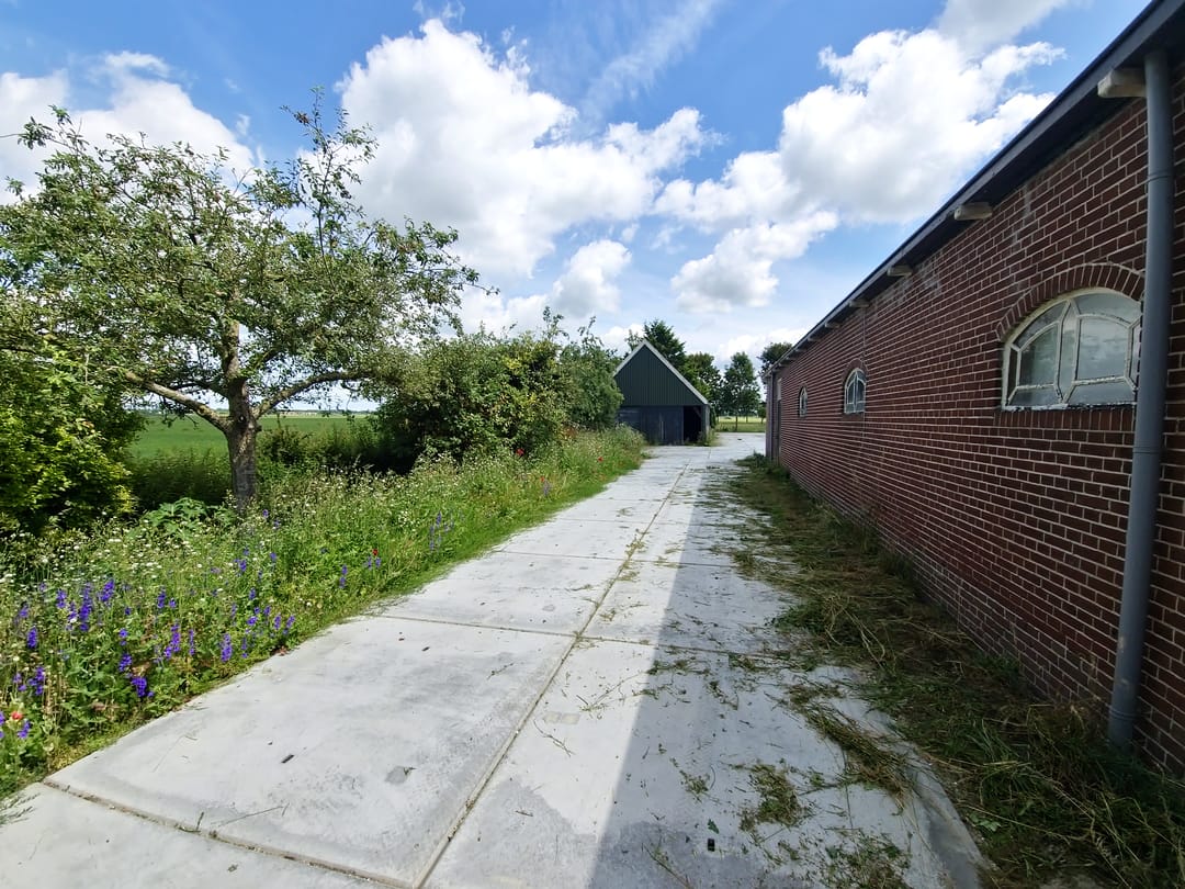 Photo 8 of Jisperweg 137