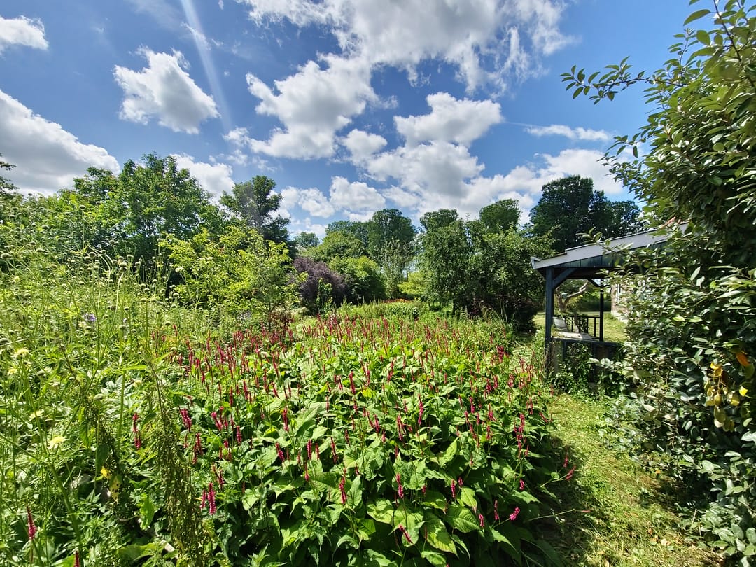 Photo 11 of Jisperweg 137