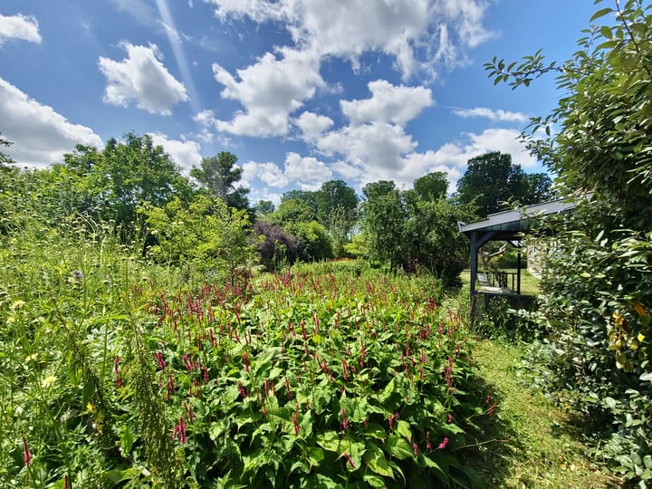 Foto 11 van Jisperweg 137