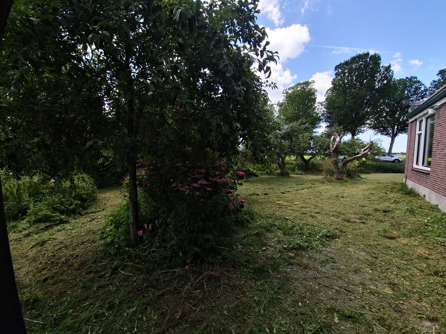 Photo 14 of Jisperweg 137