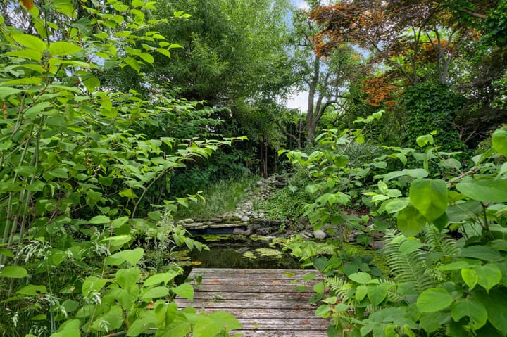 Foto 21 van Horick 4