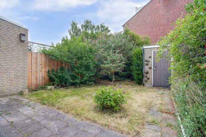 Photo 36 of Okapistraat 36