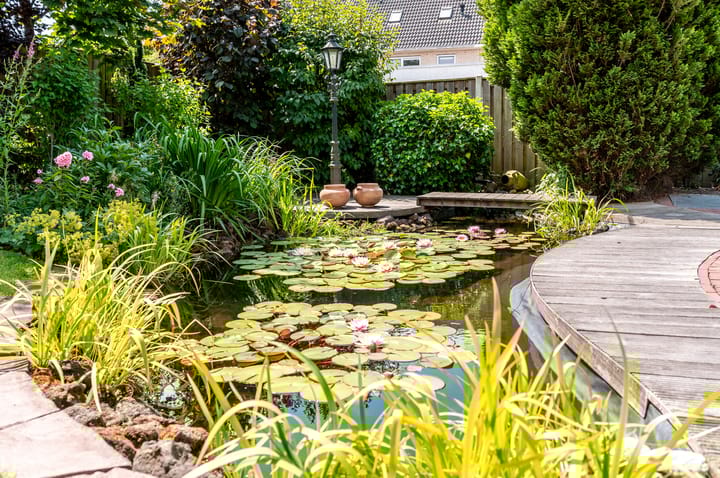 Foto 42 van Hondsdraf 176