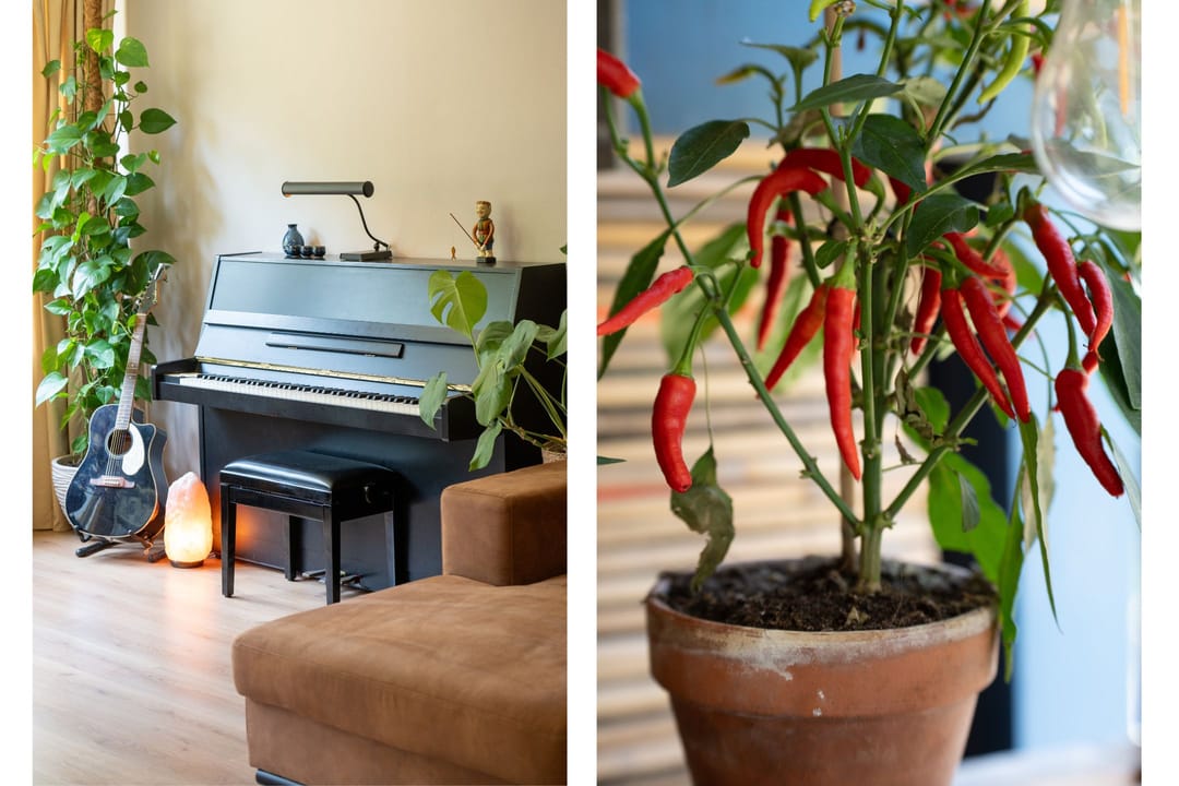 Foto 13 van Hobokenstraat 185