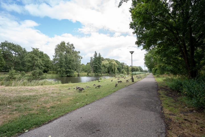 Foto 32 van Hobokenstraat 185