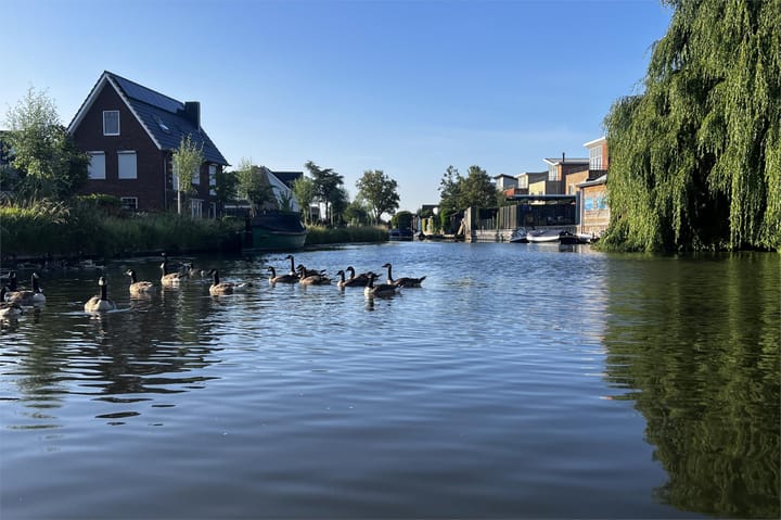 Foto 4 van Karekiet 88