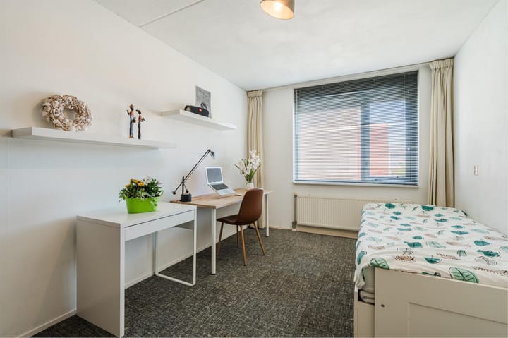 Foto 23 van Karekiet 88